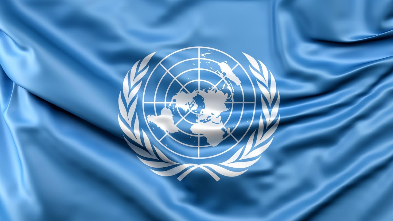 Международные организации: структура влияния и механизмы глобальной политики - 3